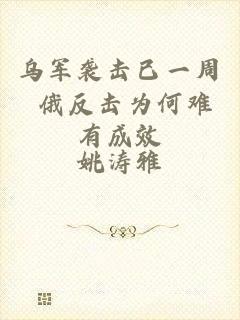 乌军袭击已一周 俄反击为何难有成效